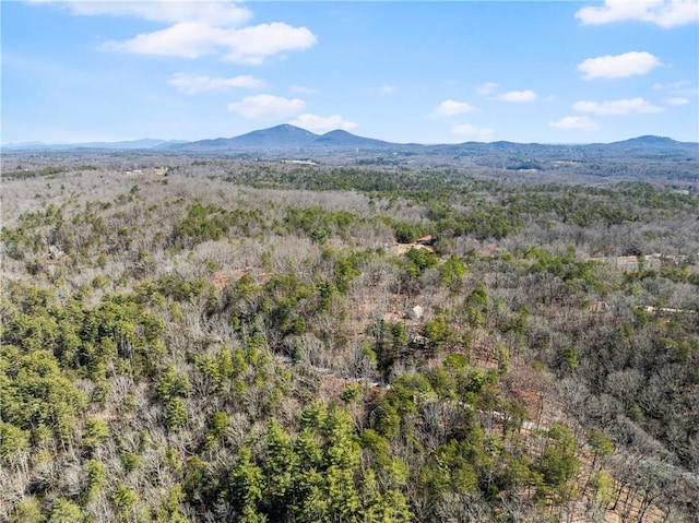 mountain view featuring a forest view
