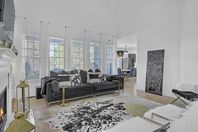 living room featuring light hardwood / wood-style flooring and a wealth of natural light