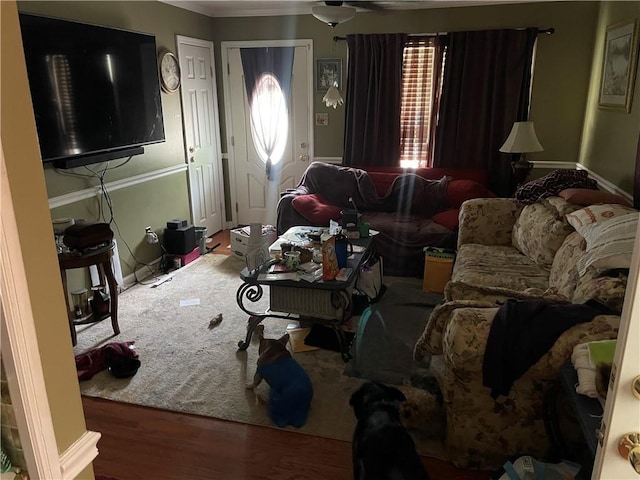 60 King Blvd, Mcdonough, GA 30253