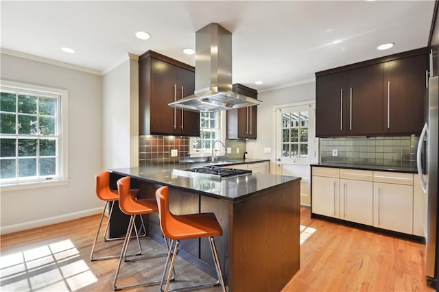 kitchen featuring light wood-style flooring, island exhaust hood, and ornamental molding