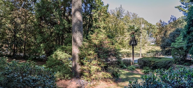 view of landscape with a wooded view