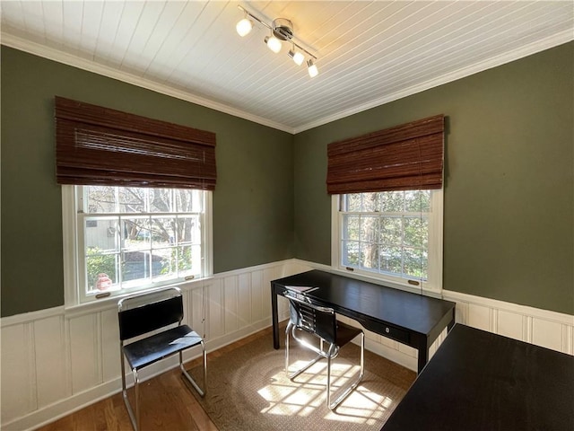 office with a wainscoted wall, plenty of natural light, track lighting, and wood finished floors