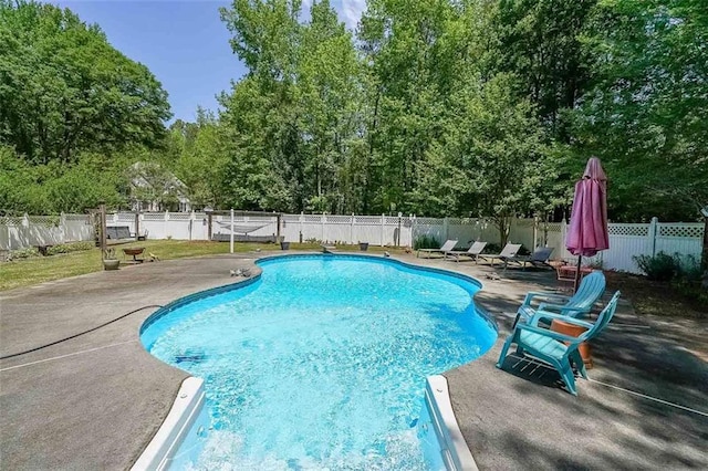 12 Blackfoot Trl, Sharpsburg, GA 30277 - view of pool featuring a patio area, a fenced backyard, and view of wooded area