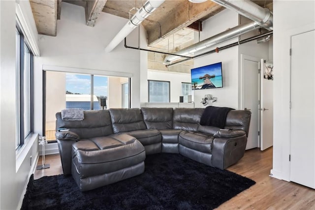 living room featuring hardwood / wood-style floors