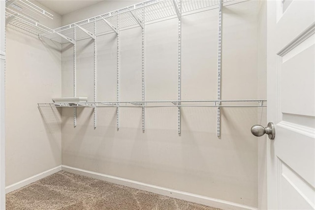 2149 Apple Orchard Way, Austell, GA 30168 - walk in closet featuring carpet flooring