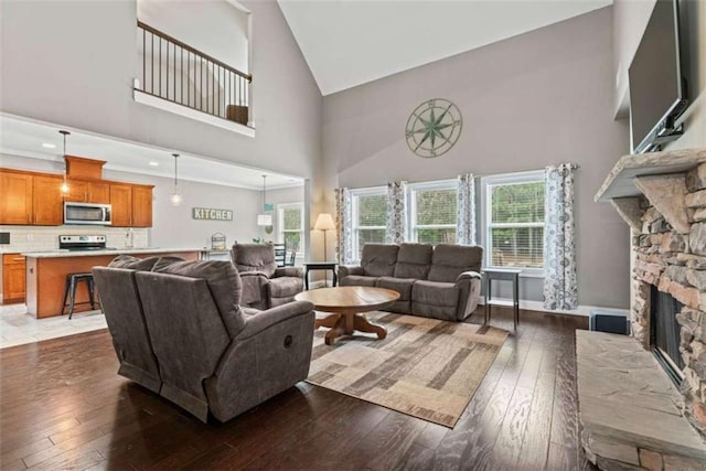 35 Huntington Way, Williamson, GA 30292 - living room featuring plenty of natural light, hardwood / wood-style floors, and high vaulted ceiling