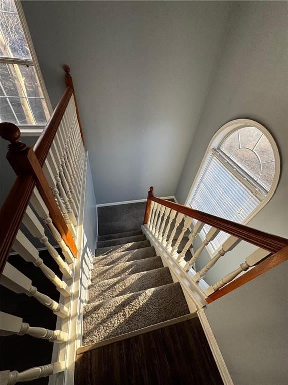 staircase featuring a healthy amount of sunlight and wood-type flooring