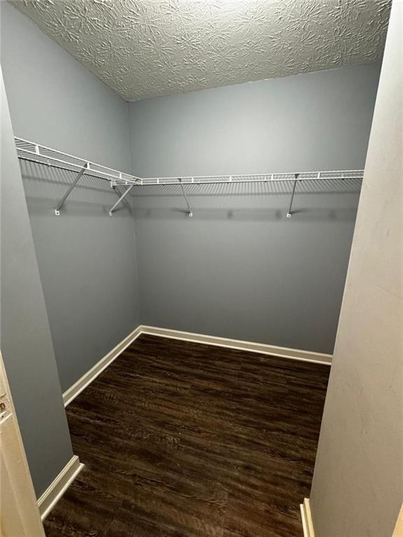 walk in closet with dark wood-type flooring