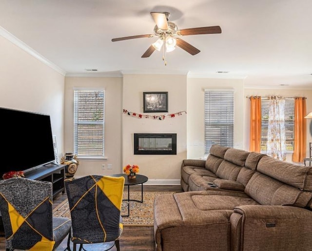 living room featuring ceiling fan, hardwood / wood-style flooring, a healthy amount of sunlight, and crown molding