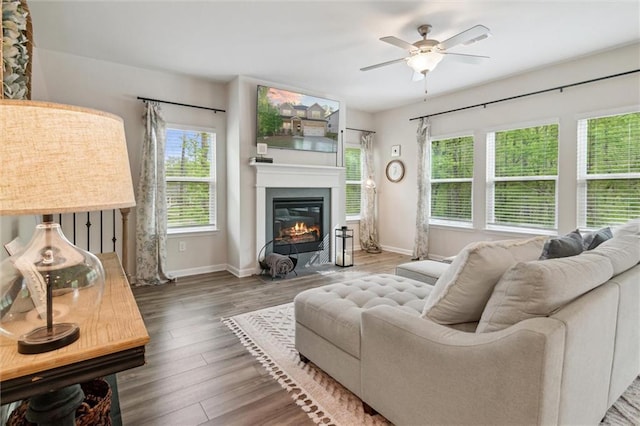 living area featuring ceiling fan, a glass covered fireplace, a healthy amount of sunlight, and wood finished floors