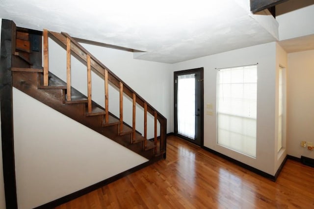 foyer with dark wood-type flooring