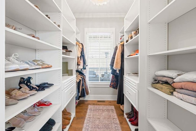 spacious closet featuring hardwood / wood-style floors