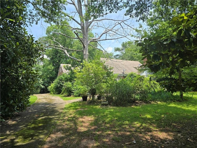 1526 Snapfinger Rd, Decatur, GA 30032 - view of yard