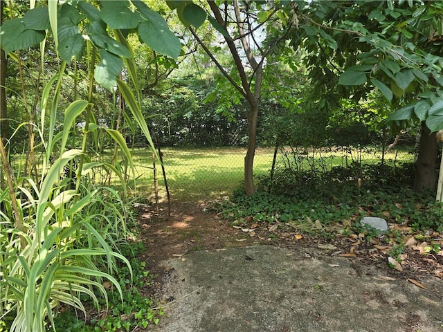 1526 Snapfinger Rd, Decatur, GA 30032 - view of yard