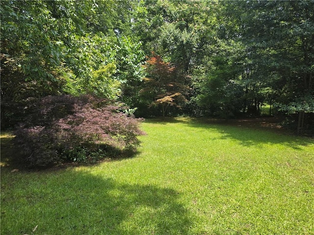 1526 Snapfinger Rd, Decatur, GA 30032 - view of green lawn featuring a wooded view