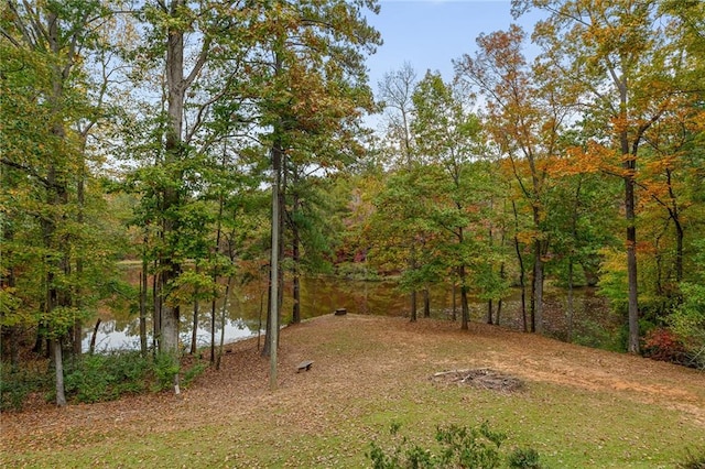 view of yard featuring a water view