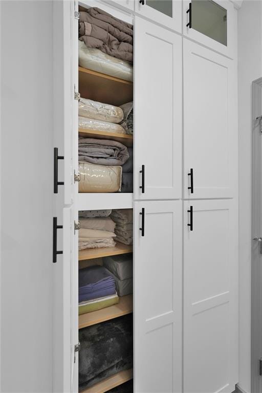 208 Wade Creek Rd, Alpharetta, GA 30009 - view of closet