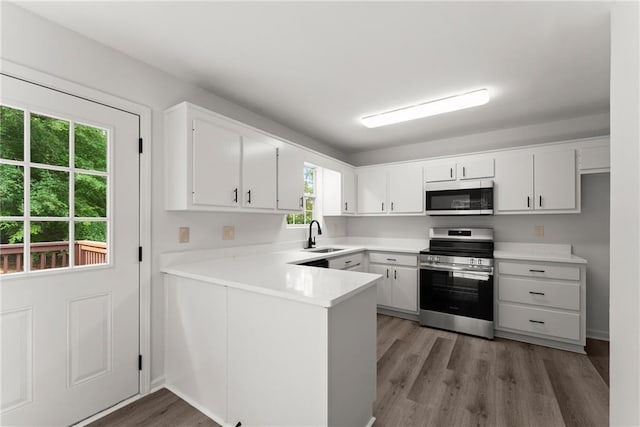 60 Weeping Willow Ln, Dawsonville, GA 30534 - kitchen featuring stainless steel appliances, light wood-type flooring, a peninsula, light countertops, and a sink