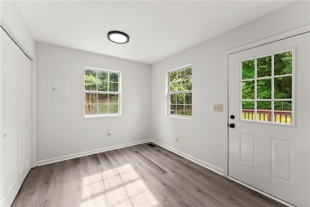 60 Weeping Willow Ln, Dawsonville, GA 30534 - unfurnished bedroom with wood finished floors, multiple windows, baseboards, and a closet