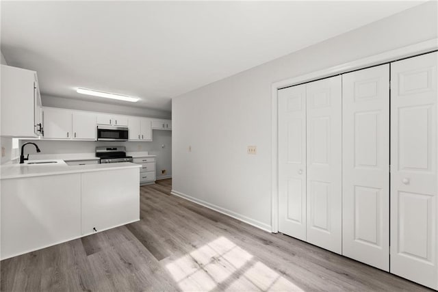 60 Weeping Willow Ln, Dawsonville, GA 30534 - kitchen with appliances with stainless steel finishes, a sink, light wood-style flooring, and light countertops