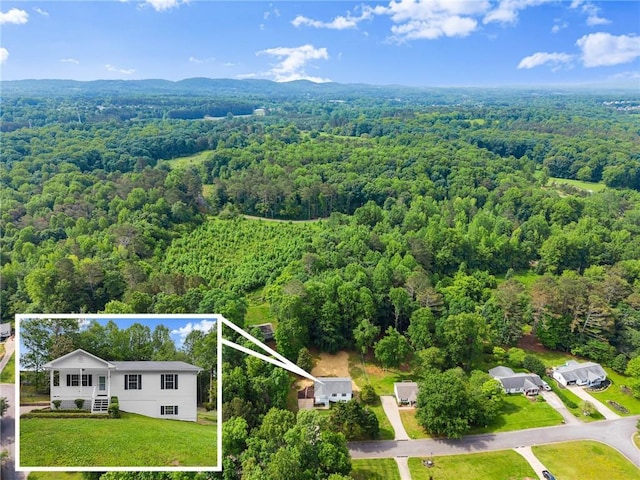 60 Weeping Willow Ln, Dawsonville, GA 30534 - aerial view of property and surrounding area featuring a heavily wooded area and property parcel outlined
