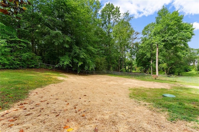 60 Weeping Willow Ln, Dawsonville, GA 30534 - view of road