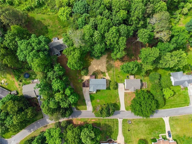 60 Weeping Willow Ln, Dawsonville, GA 30534 - aerial view