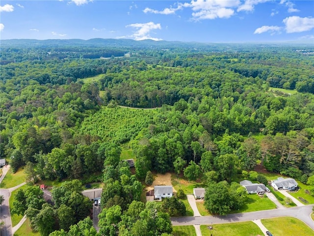 60 Weeping Willow Ln, Dawsonville, GA 30534 - aerial view of property's location featuring a heavily wooded area