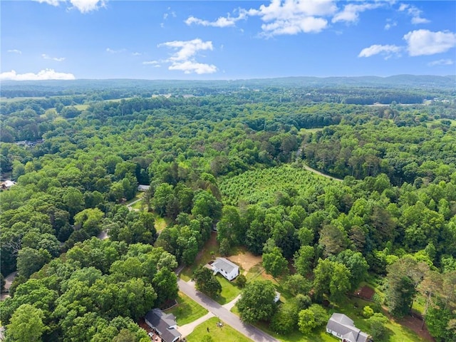60 Weeping Willow Ln, Dawsonville, GA 30534 - aerial view of a heavily wooded area