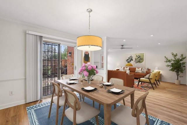 dining space featuring ornamental molding, ceiling fan, and light hardwood / wood-style flooring