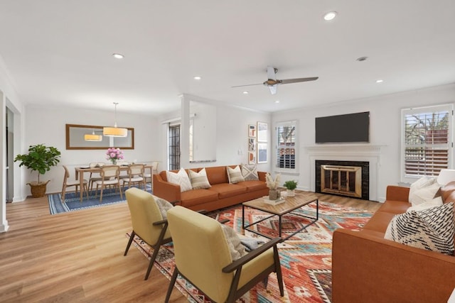 living room with ornamental molding, light hardwood / wood-style floors, and a healthy amount of sunlight