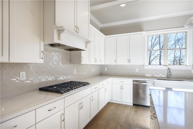 kitchen featuring white cabinets, a sink, stainless steel appliances, and custom exhaust hood