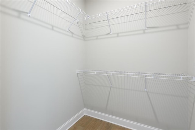 spacious closet featuring wood finished floors