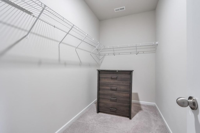 spacious closet with light colored carpet