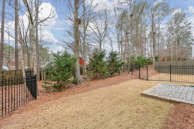 view of yard featuring a patio area