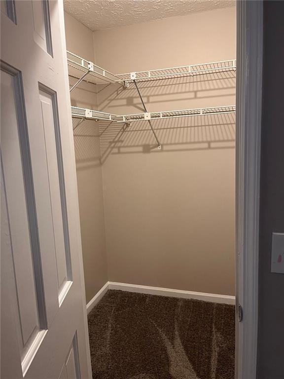 spacious closet featuring carpet floors