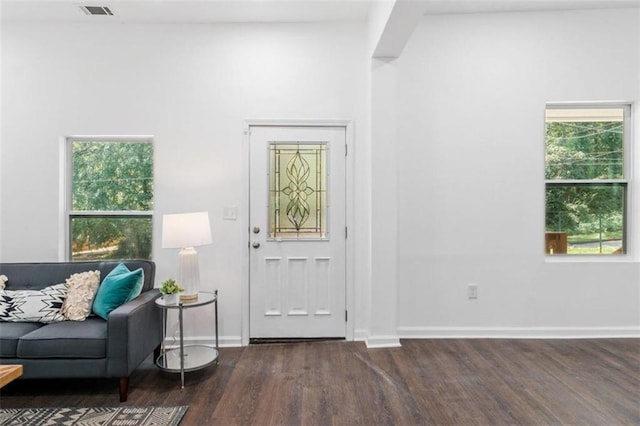 foyer featuring dark wood-type flooring and a wealth of natural light