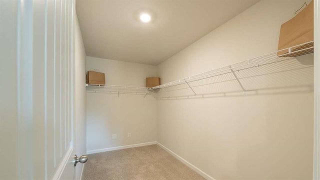 walk in closet featuring light colored carpet