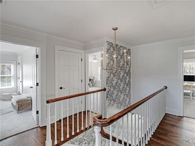 corridor featuring crown molding, an inviting chandelier, wood finished floors, and an upstairs landing