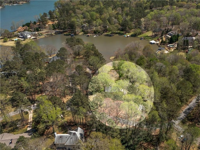 birds eye view of property with a water view and a forest view