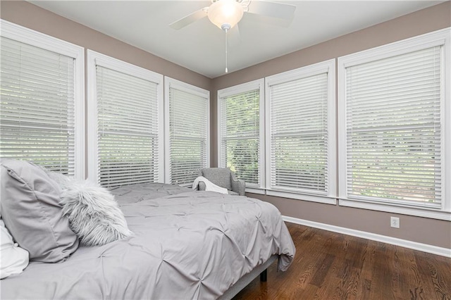 176 Nightwind Trce, Acworth, GA 30101 - bedroom featuring baseboards, wood finished floors, multiple windows, and a ceiling fan