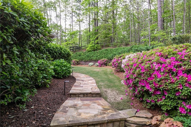176 Nightwind Trce, Acworth, GA 30101 - view of yard