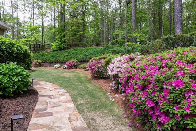 176 Nightwind Trce, Acworth, GA 30101 - view of grassy yard