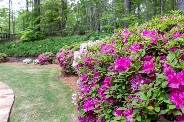 176 Nightwind Trce, Acworth, GA 30101 - view of yard