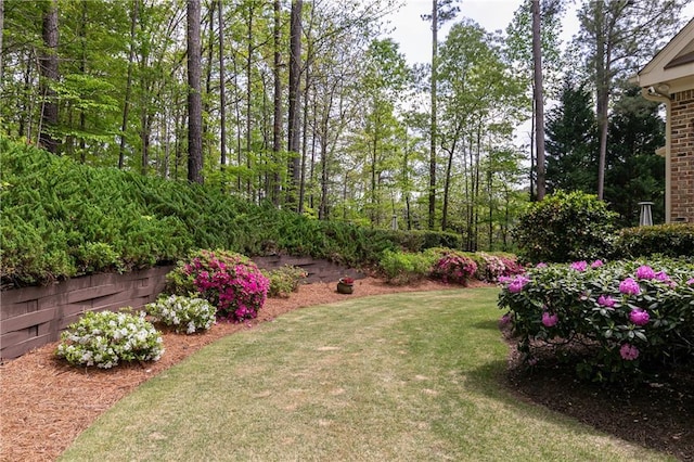 176 Nightwind Trce, Acworth, GA 30101 - view of yard