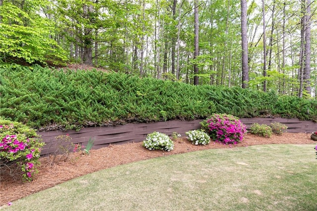 176 Nightwind Trce, Acworth, GA 30101 - view of yard