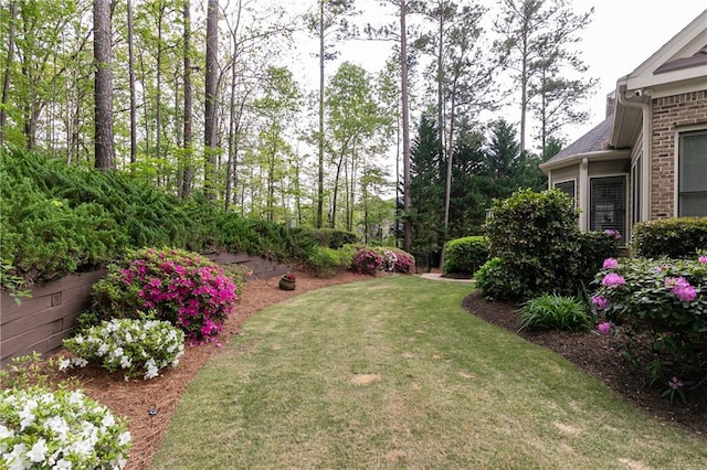 176 Nightwind Trce, Acworth, GA 30101 - view of green lawn