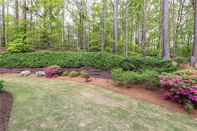 176 Nightwind Trce, Acworth, GA 30101 - view of grassy yard