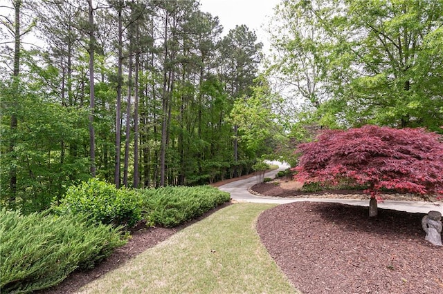 176 Nightwind Trce, Acworth, GA 30101 - view of surrounding community