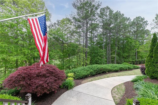176 Nightwind Trce, Acworth, GA 30101 - view of community